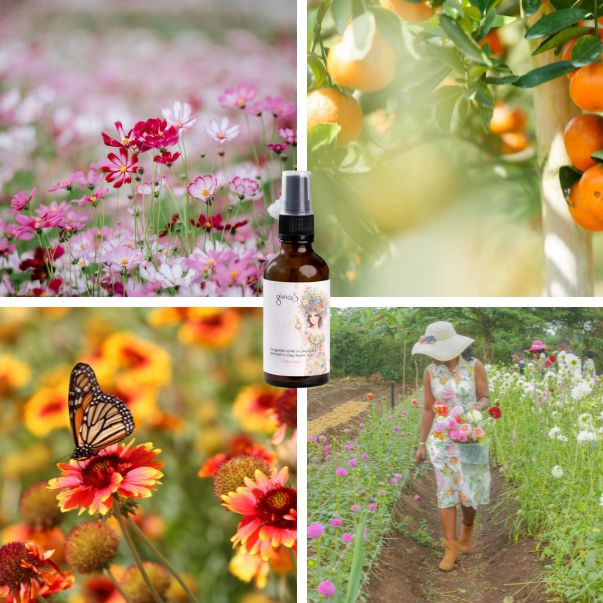 Spring Natural Room Mist Flower Garden